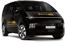 VIP service